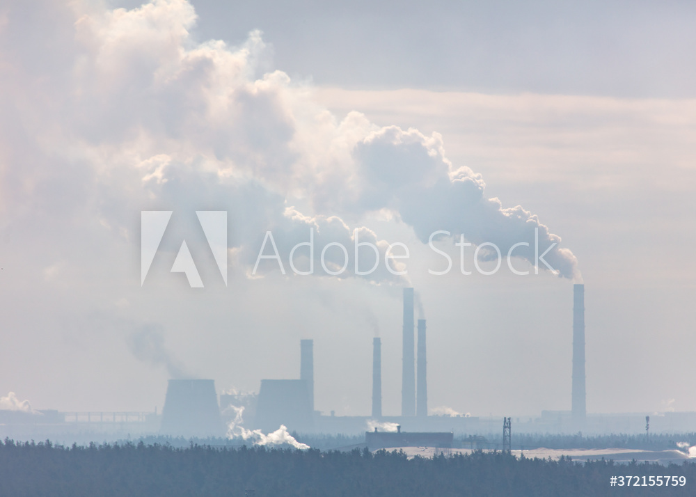 AdobeStock 372155759 Preview