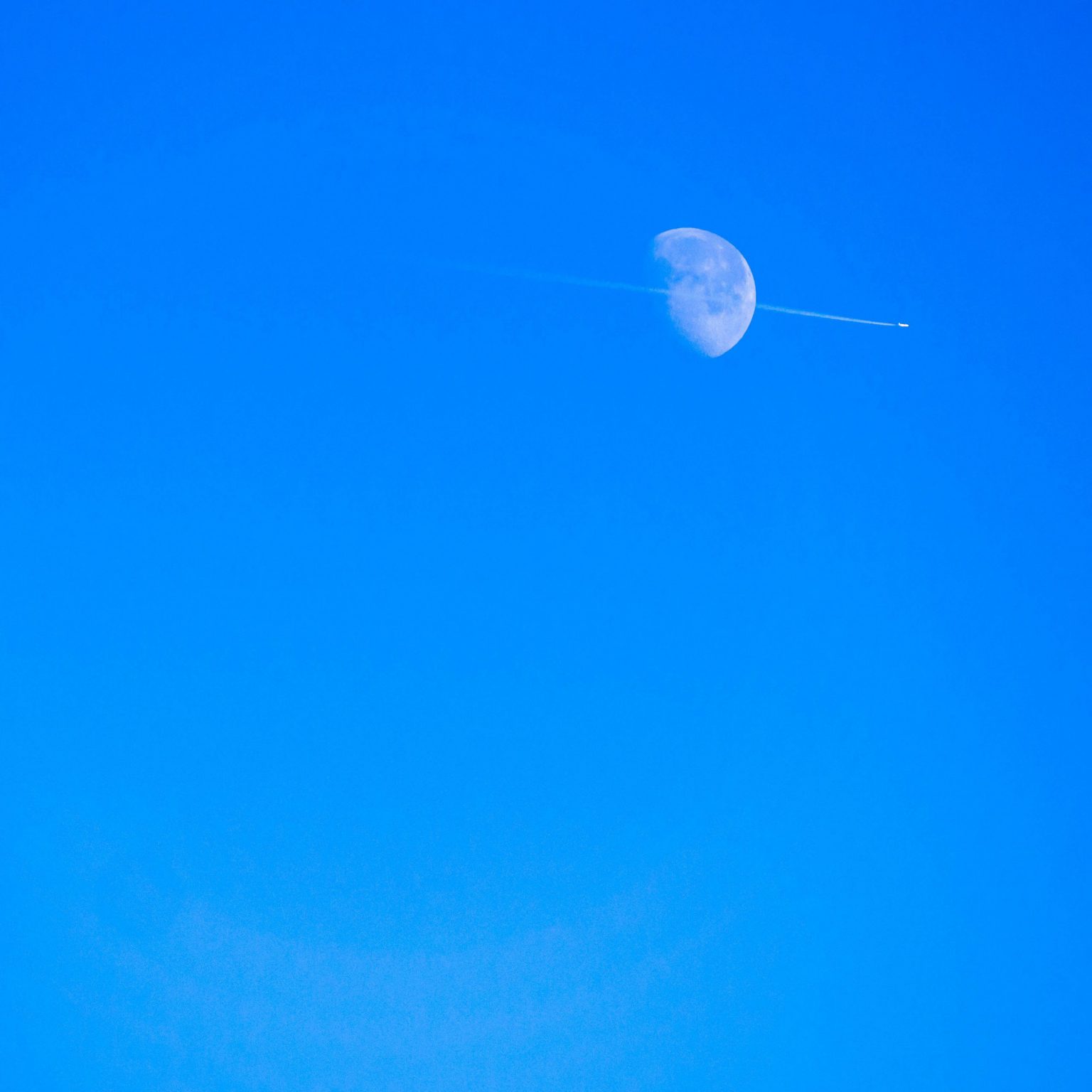 bluemoon scaled e1614256871566