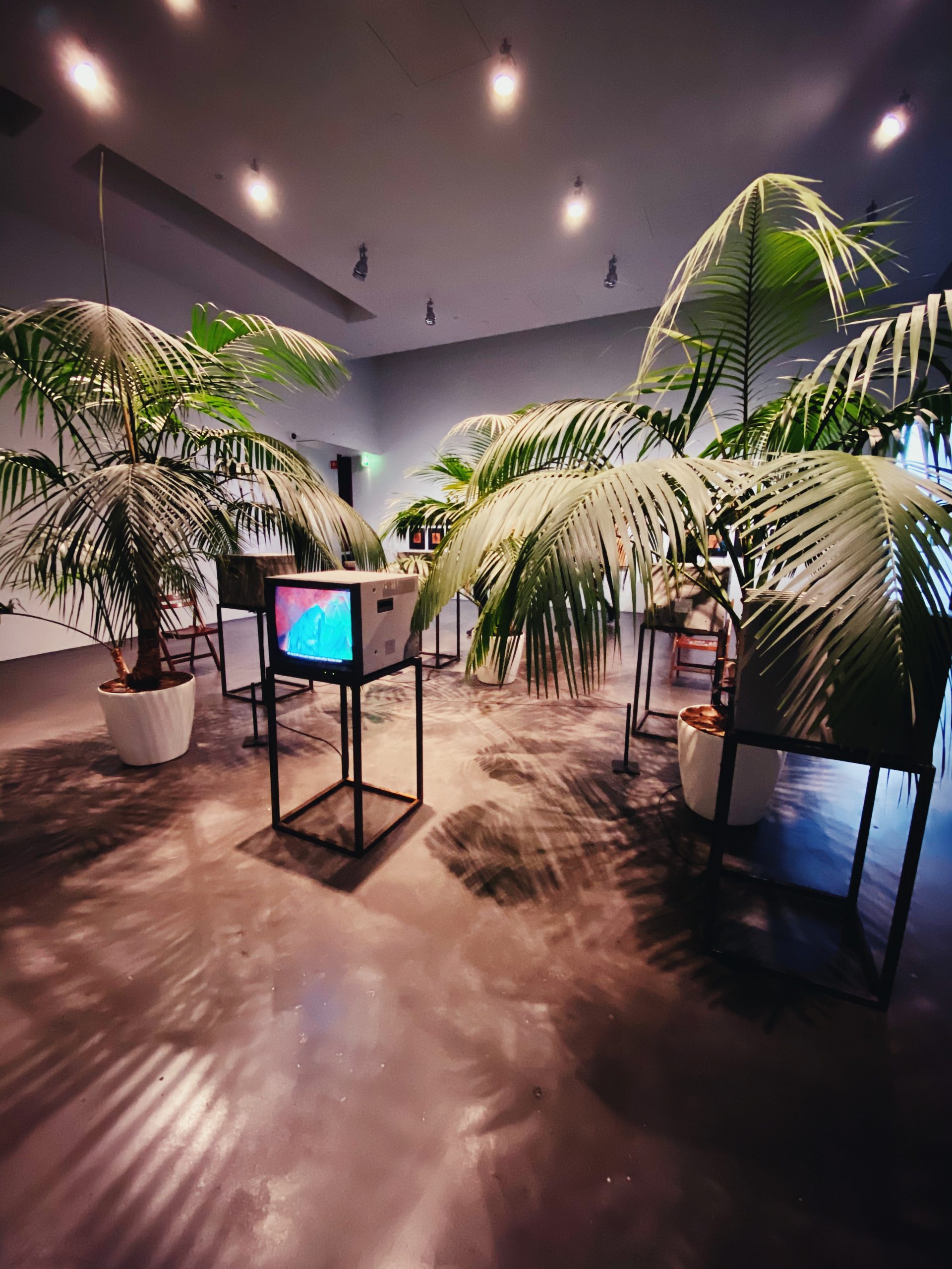 phil aicken LkzJ6dqw50 unsplash scaled